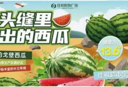 热门大瓜每日大赛,揭秘娱乐圈风云变幻，大赛精彩瞬间回顾